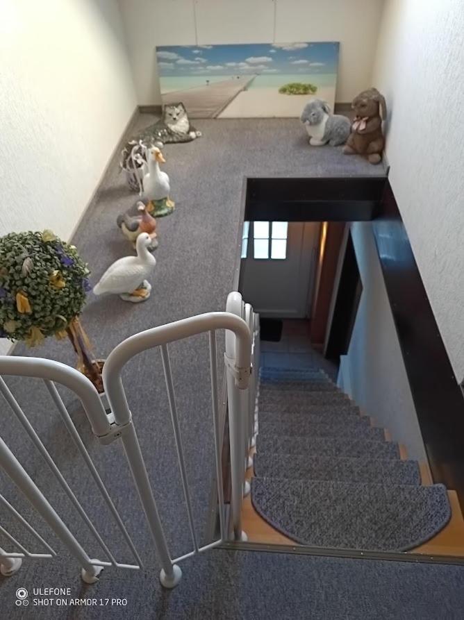 Ferienhof Welsch Wohnung 2 Grossefehn Eksteriør billede